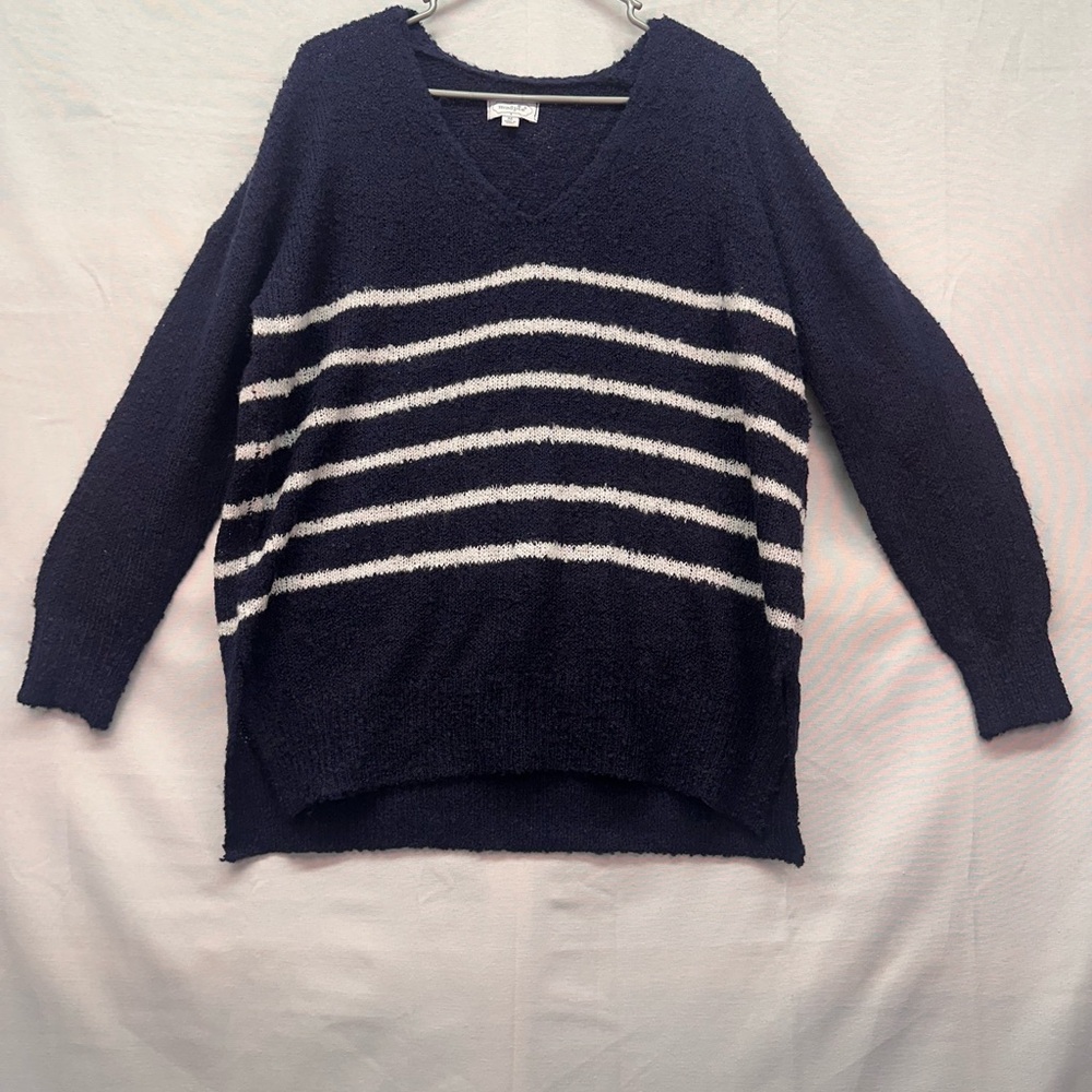 Mud Pie Deep Blue and White V-Neck Sweater